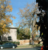 outside